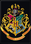 Harry Potter Fridge Magnets