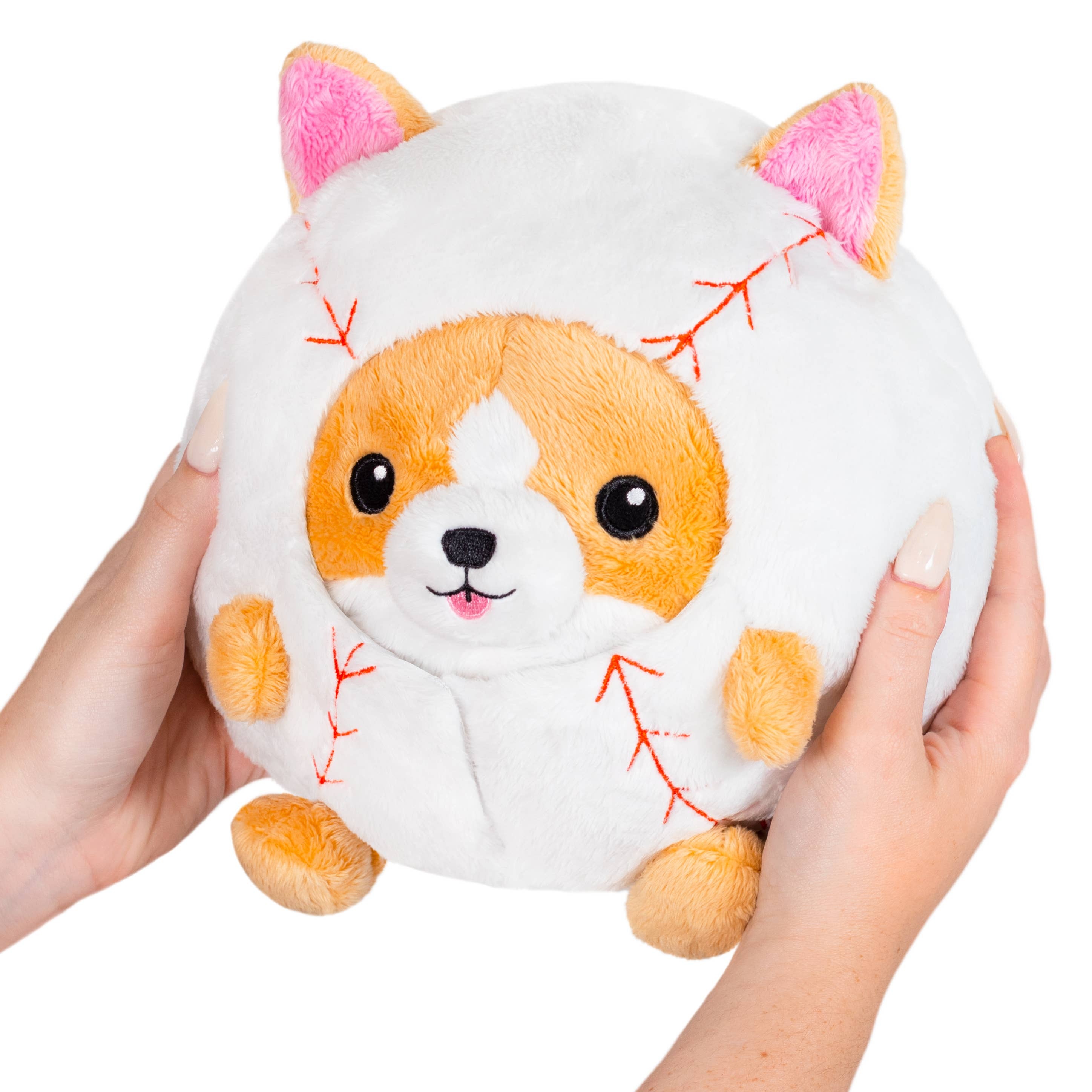 Undercover Corgi in Baseball