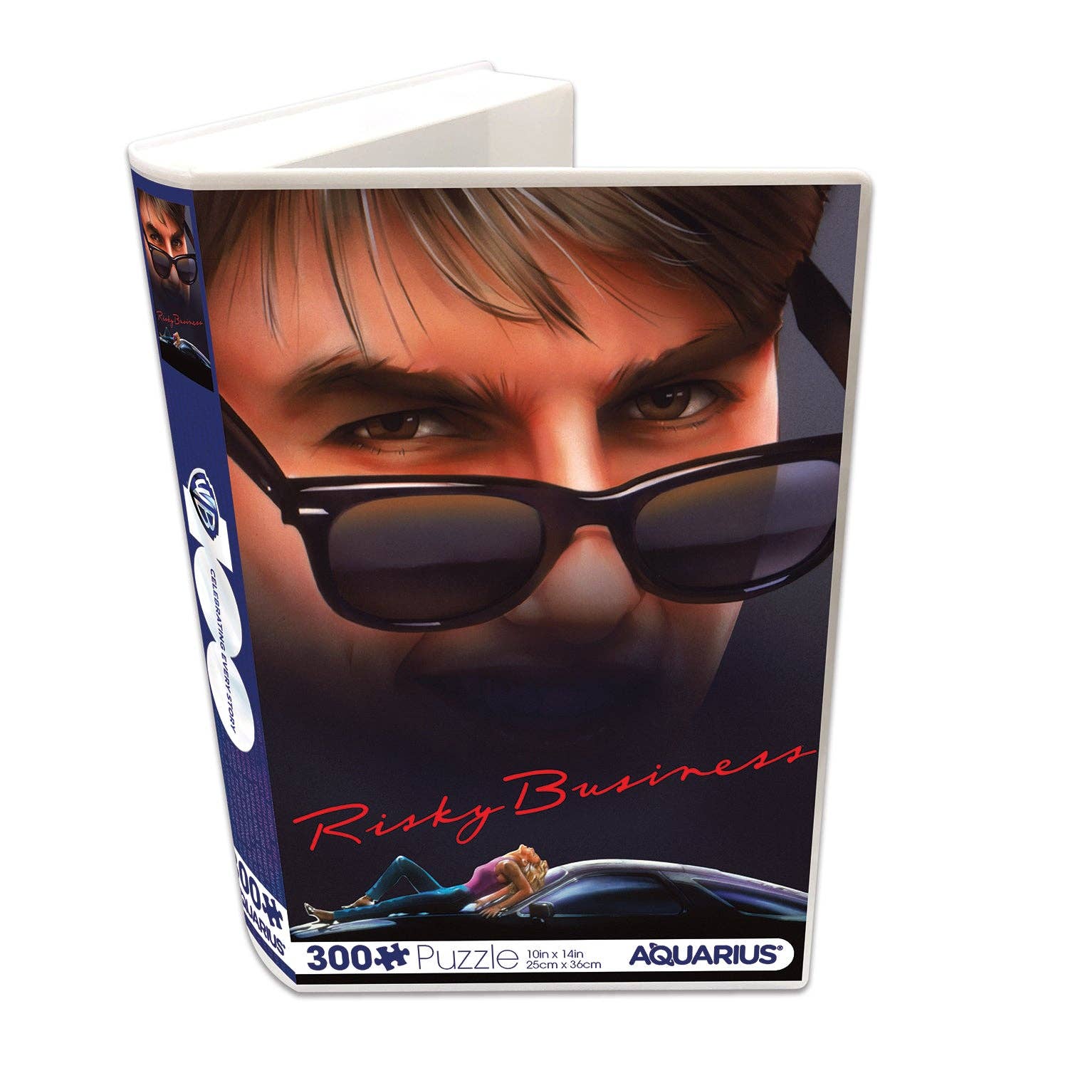 Risky Business (300 Piece Jigsaw Puzzle)