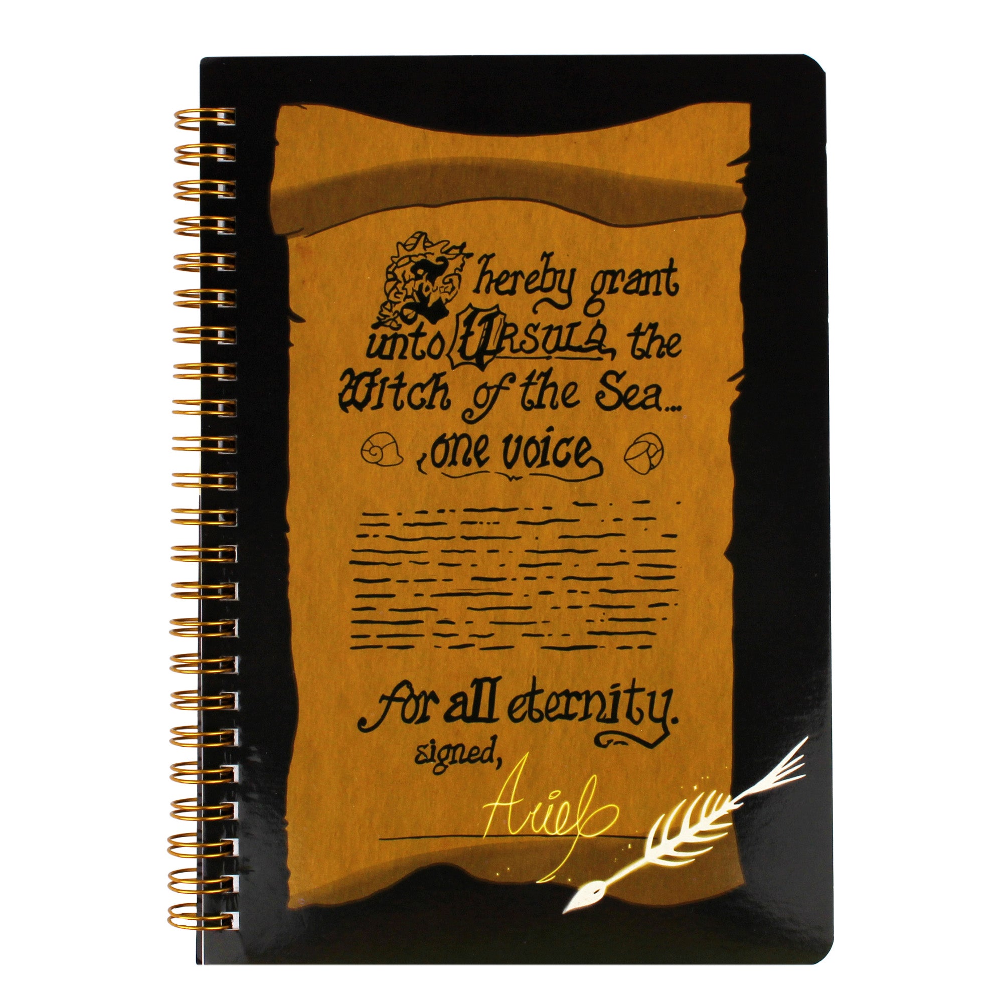 Ursula Contract Notebook
