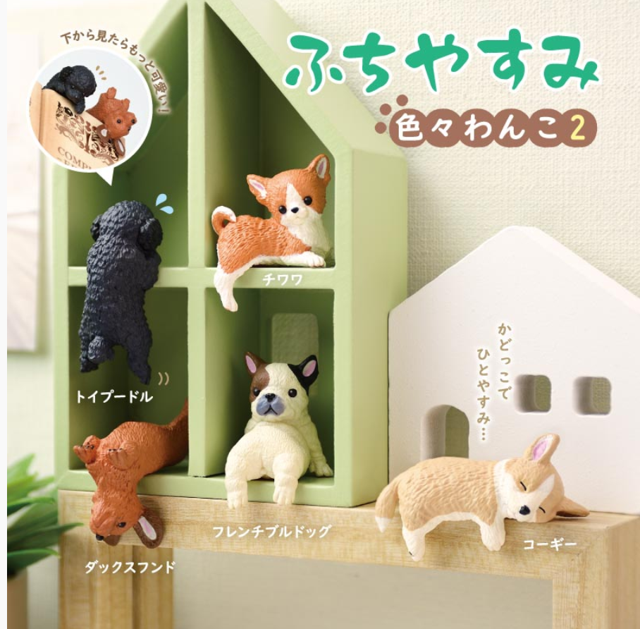 Resting Dog 2 SURPRISE BOX