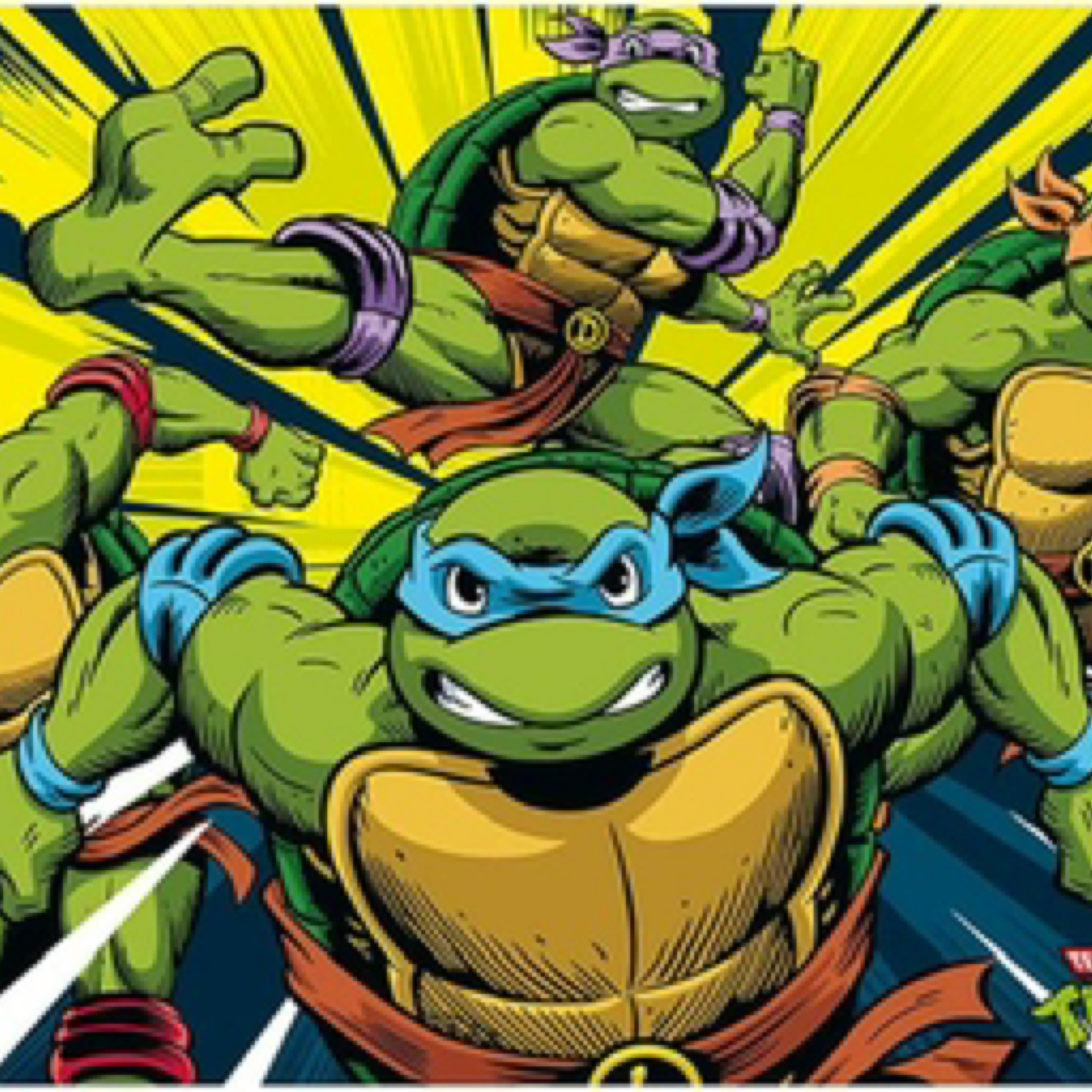 Teenage Mutant Ninja Turtle Poster