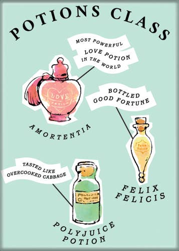 Harry Potter Whimsy Potions Class Magnet 2.5" x 3.5"