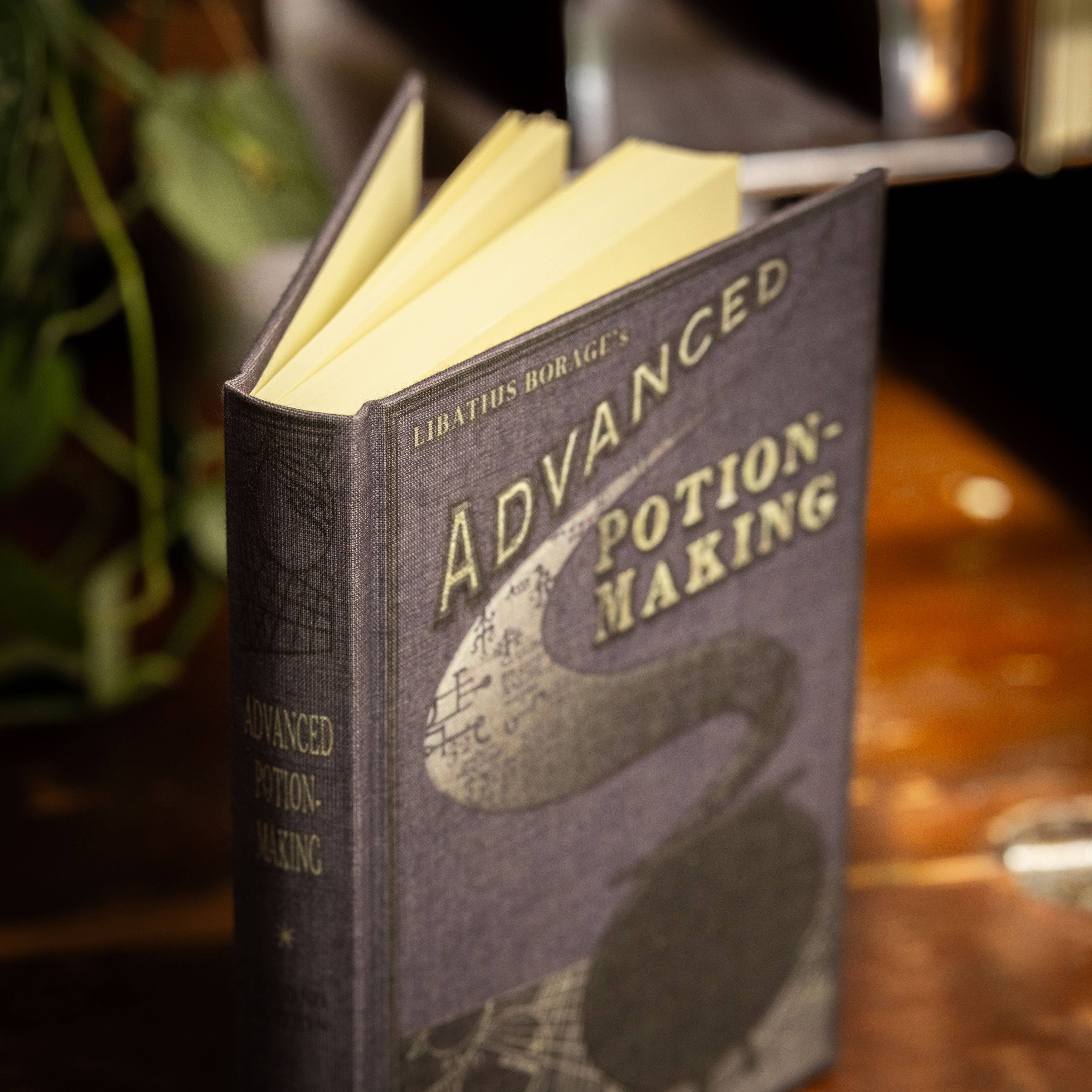 *Advanced Potion Making by Libatius Borage c. 1946 Journal