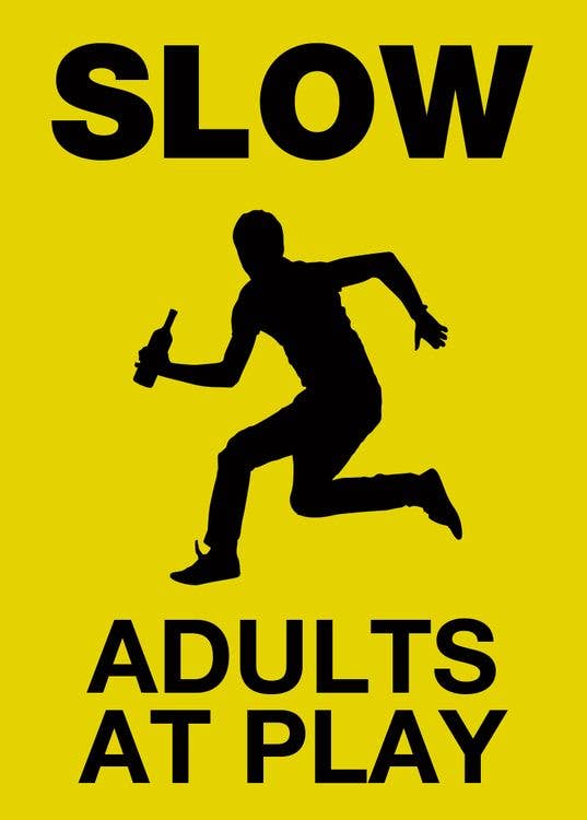 Adults at Play - Magnet