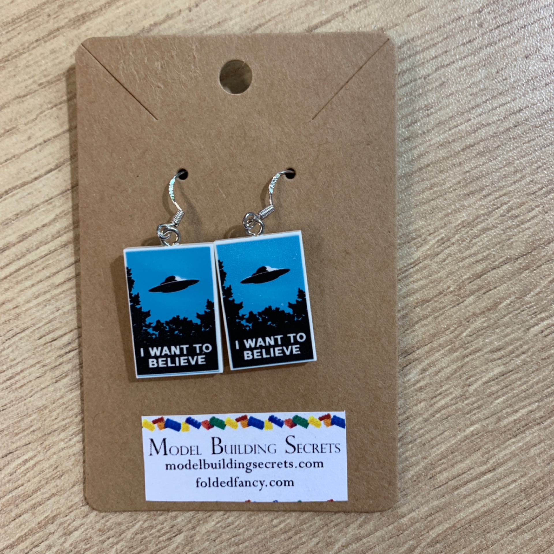 I Want To Believe Brick Earrings